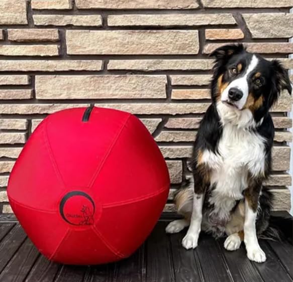 CollieBall balle d'entraînement 18 po, vue frontale, idéale pour l'entraînement et le divertissement actif.