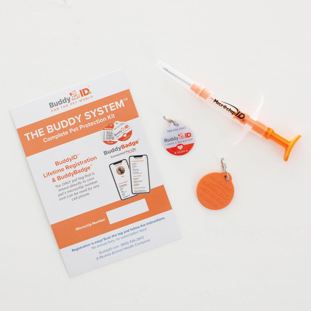 BuddyID – collier BuddyBadge en action, identifiant visuel utile lors des sorties quotidiennes.