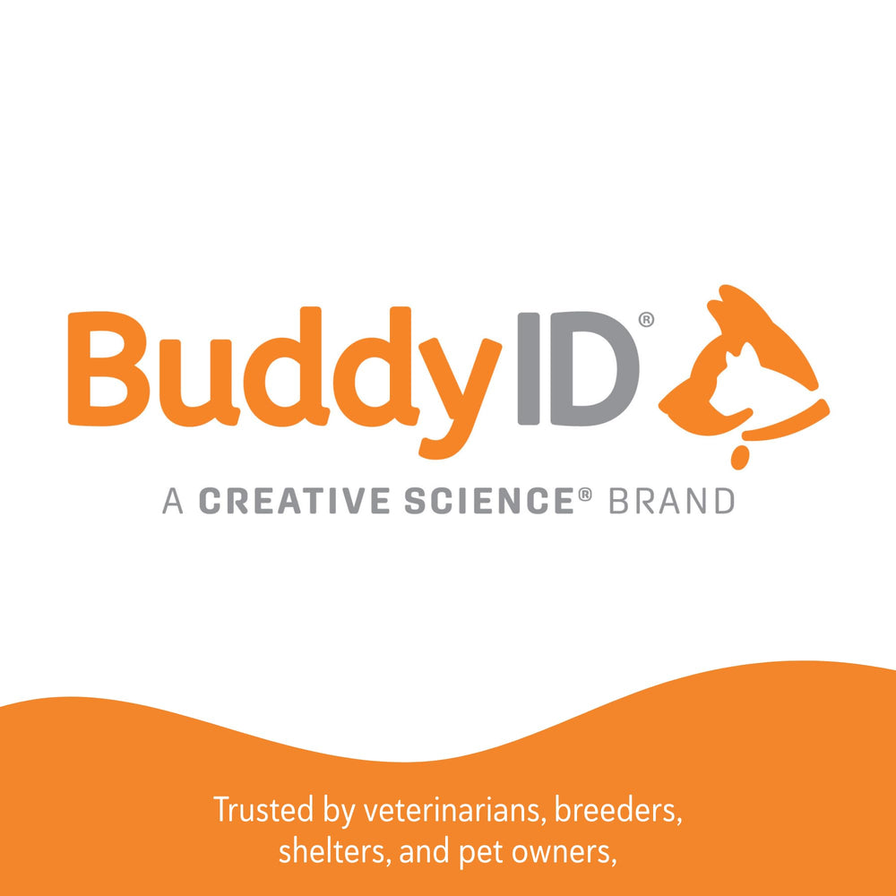 BuddyID – collier étanche et durable pour un usage quotidien.
