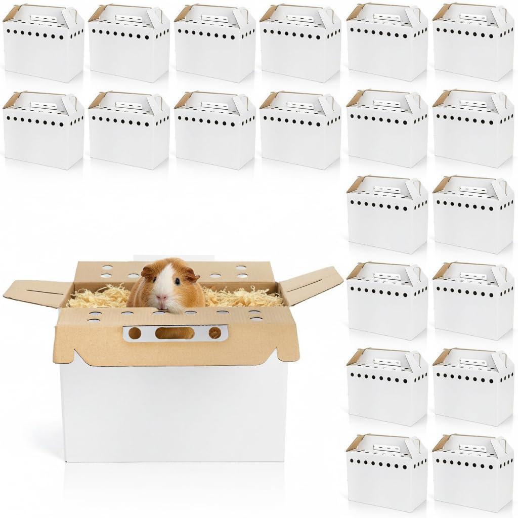 Coloch transporteur-carton-petits-animaux 11x8x6 offre un transport sûr et pratique.