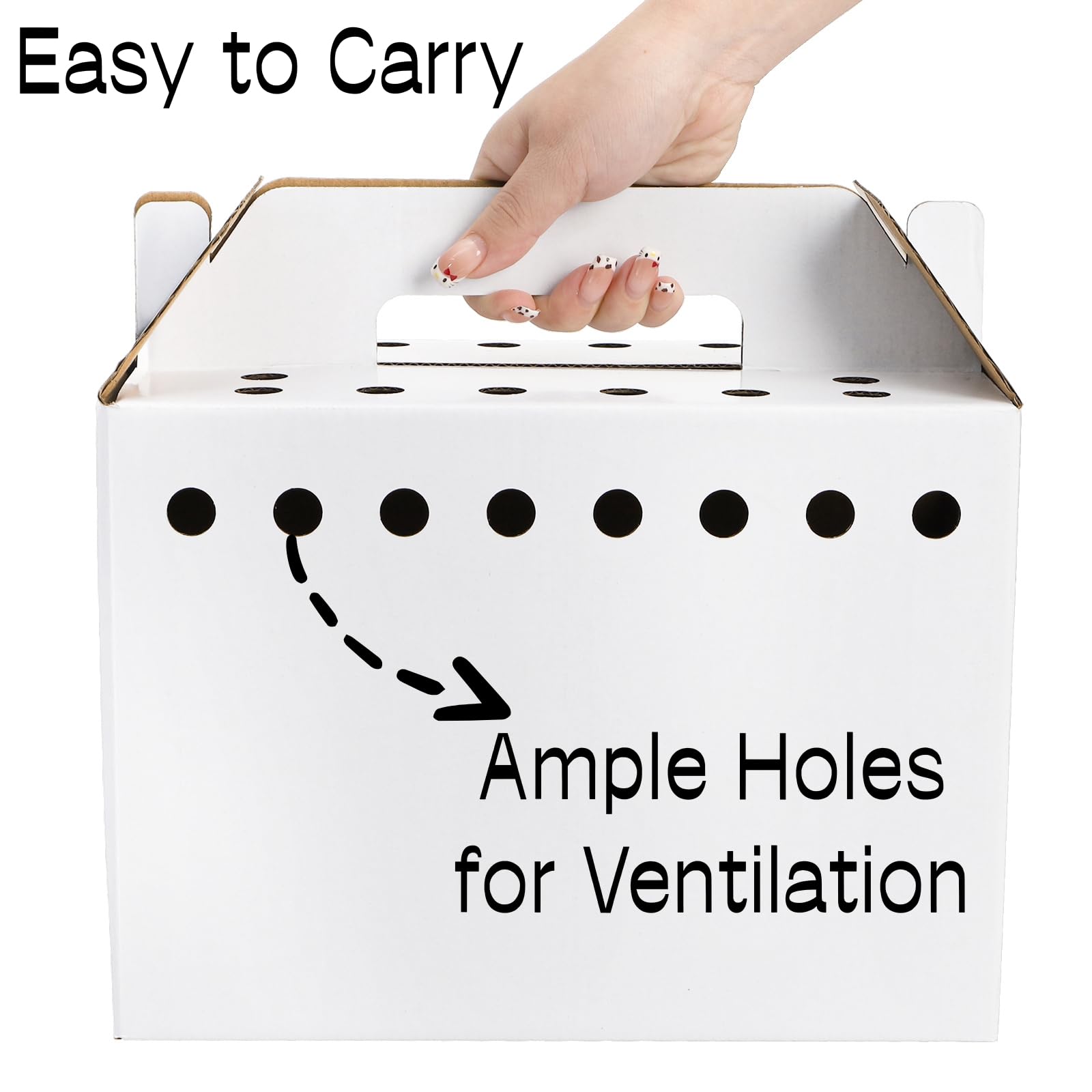 Coloch ventilation-trous-petits-animaux assure flux d'air optimal pendant le trajet.