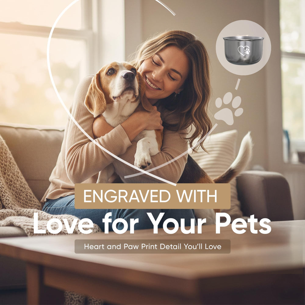 Color Up – usage polyvalent pour chiens, chats et petits animaux.