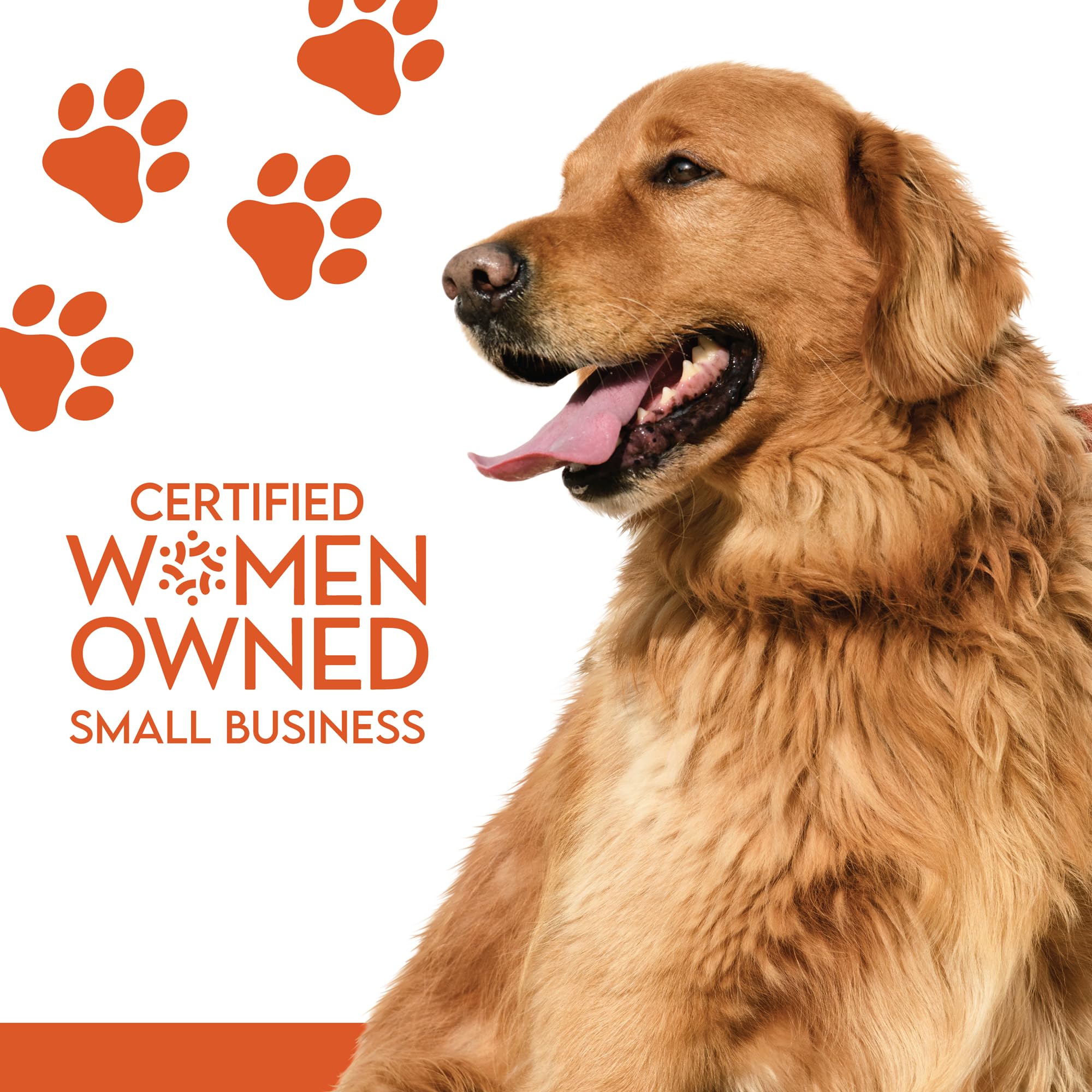 Colorado Naturals Beef Jerky Chips – énergie et soutien musculaire pour chiens actifs