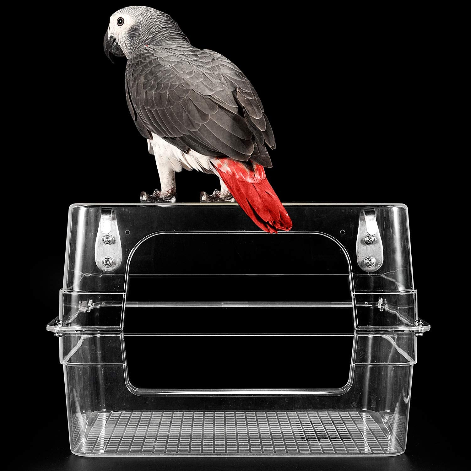 Colorday bain facile à installer: se fixe rapidement à la cage, intérieur ou extérieur.