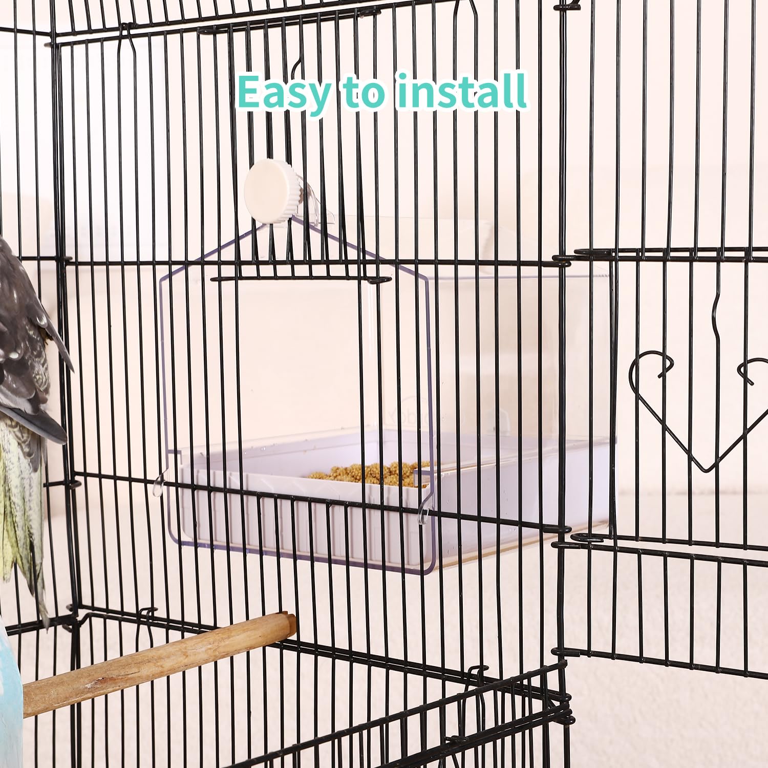 Colorday grand bain offre un espace spacieux pour petits et moyens oiseaux.