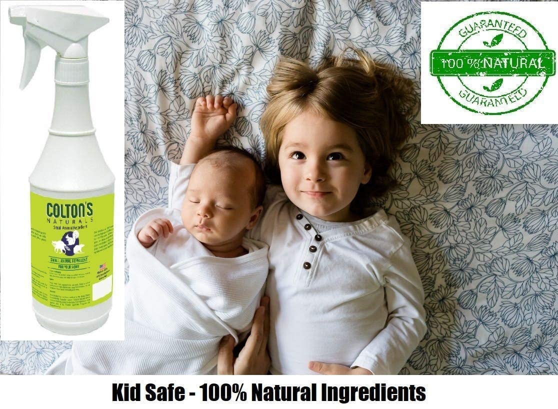 Colton's Naturals spray polyvalent intérieur et extérieur près véhicule