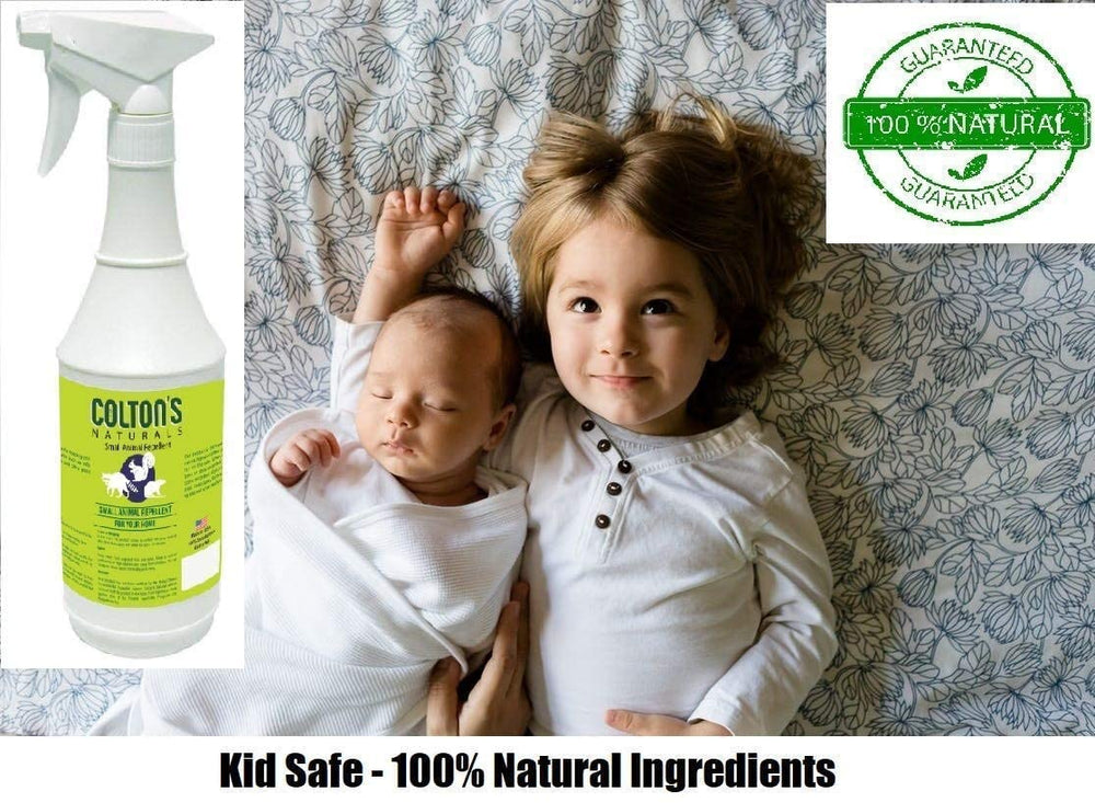 Colton's Naturals spray polyvalent intérieur et extérieur près véhicule