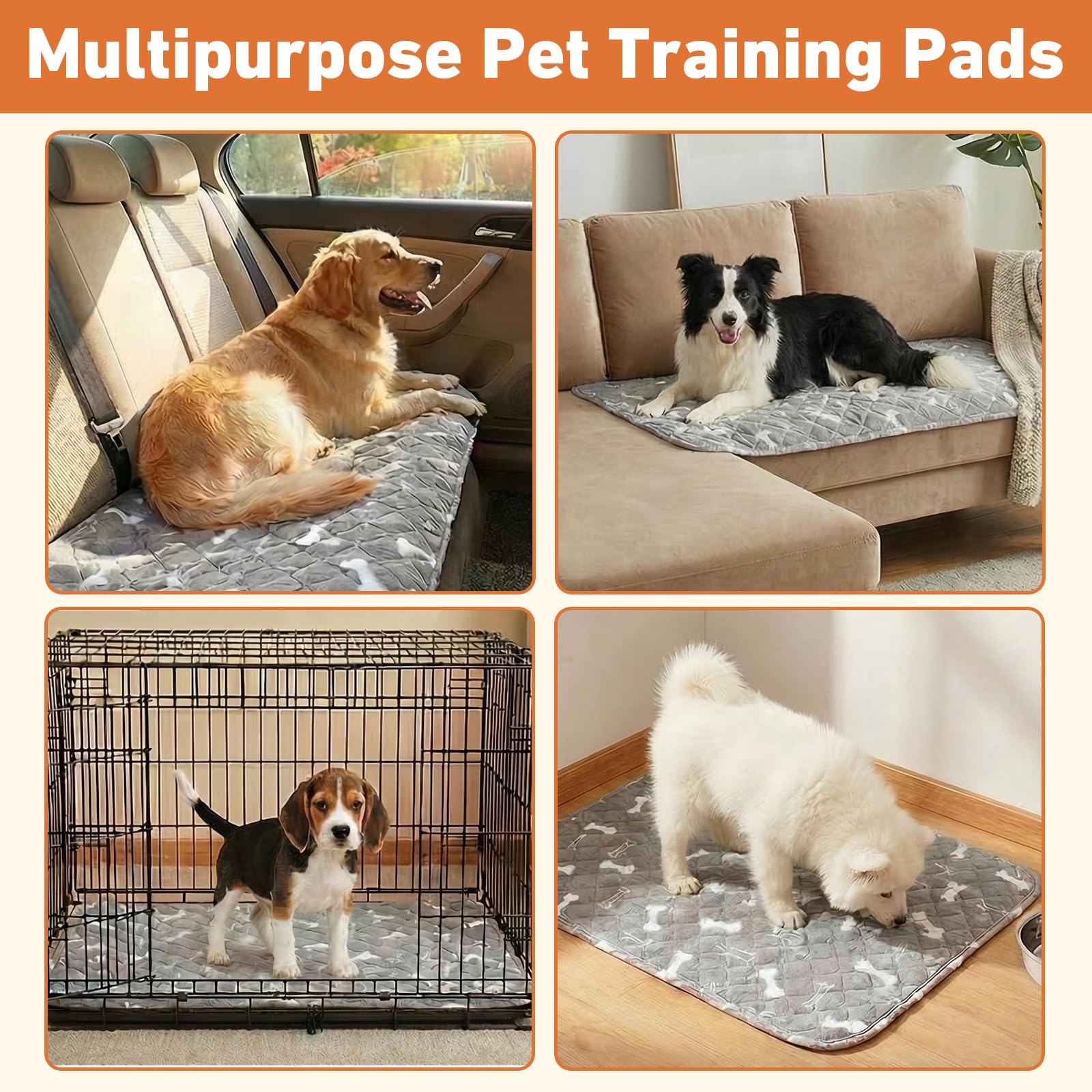 Comasua Tapis Chiot Impermeable Anti-Fuite: protège vos sols