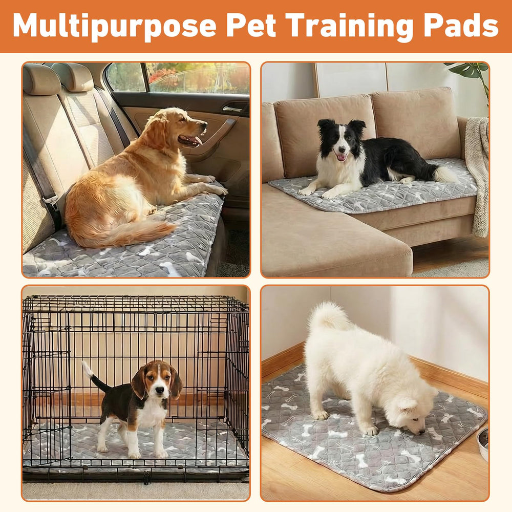 Comasua Tapis Chiot Impermeable Anti-Fuite: protège vos sols