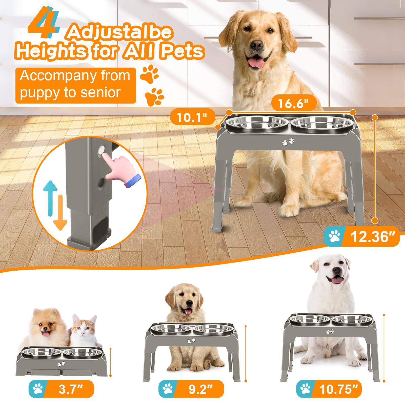 COMESOON support ajustable à 9,2 pouces pour chiens de taille moyenne.