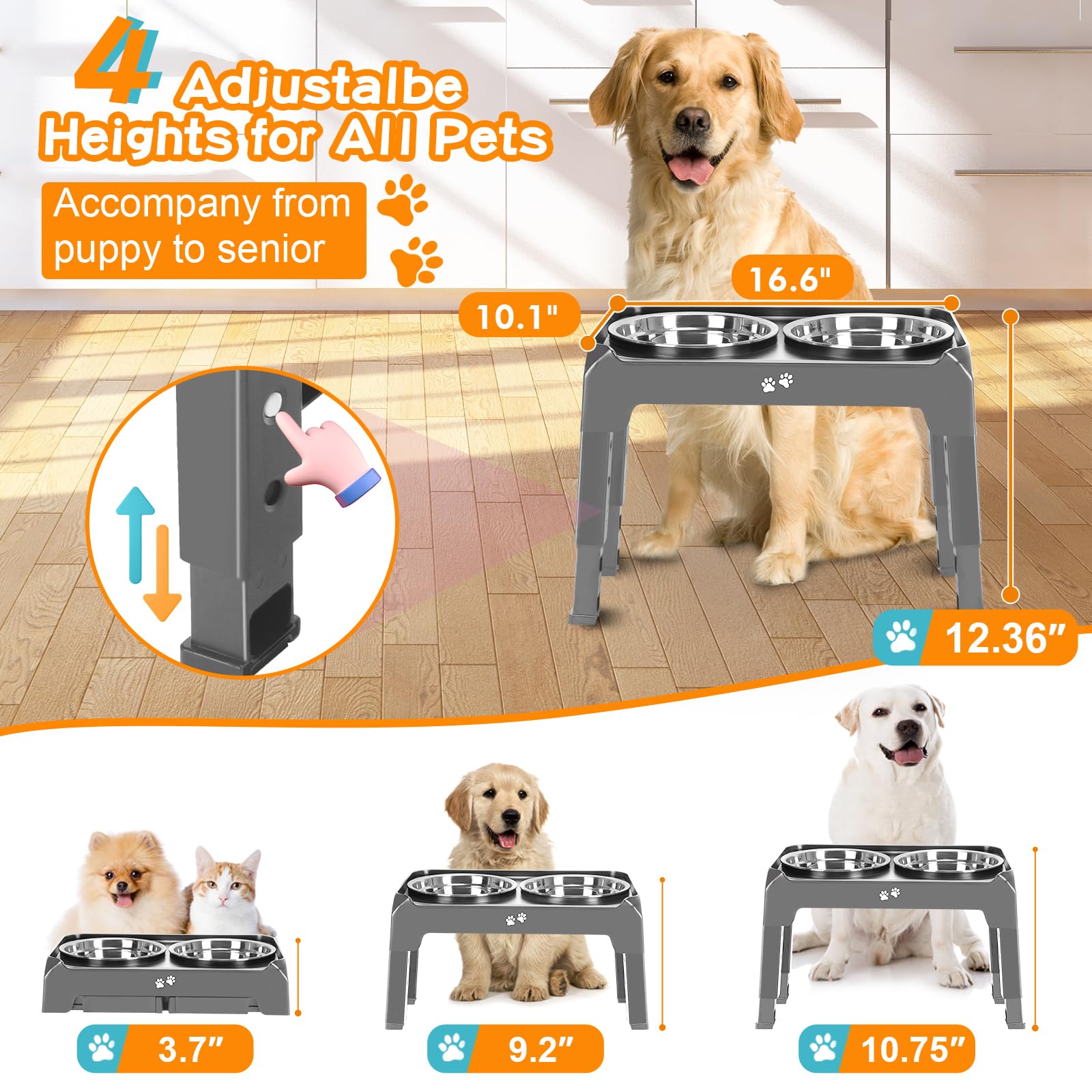 COMESOON gamelle surélevée, hauteur 9,2 pouces, adaptée pour chien de taille moyenne.