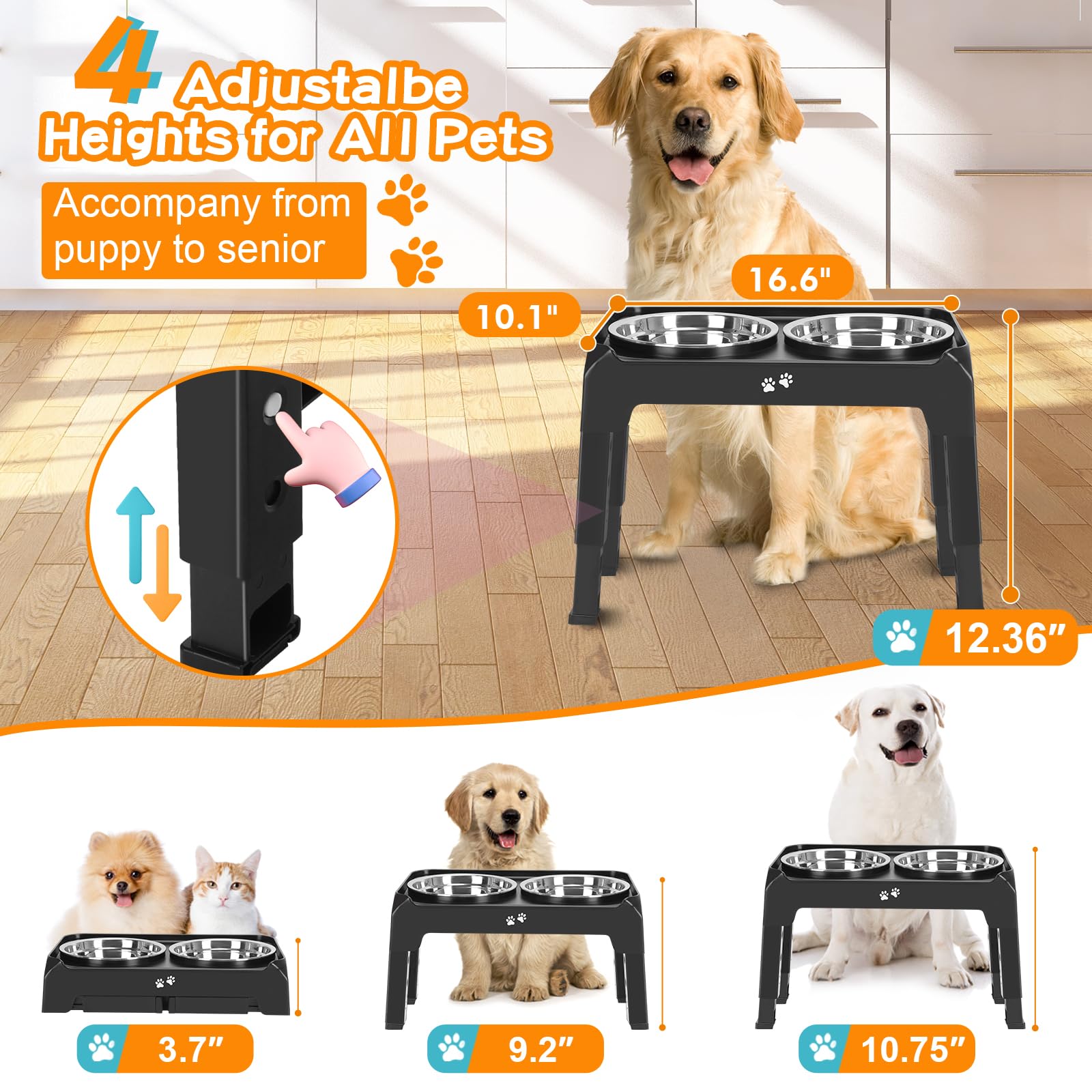 Support chien hauteur 3-7 pour confort et accessibilité.