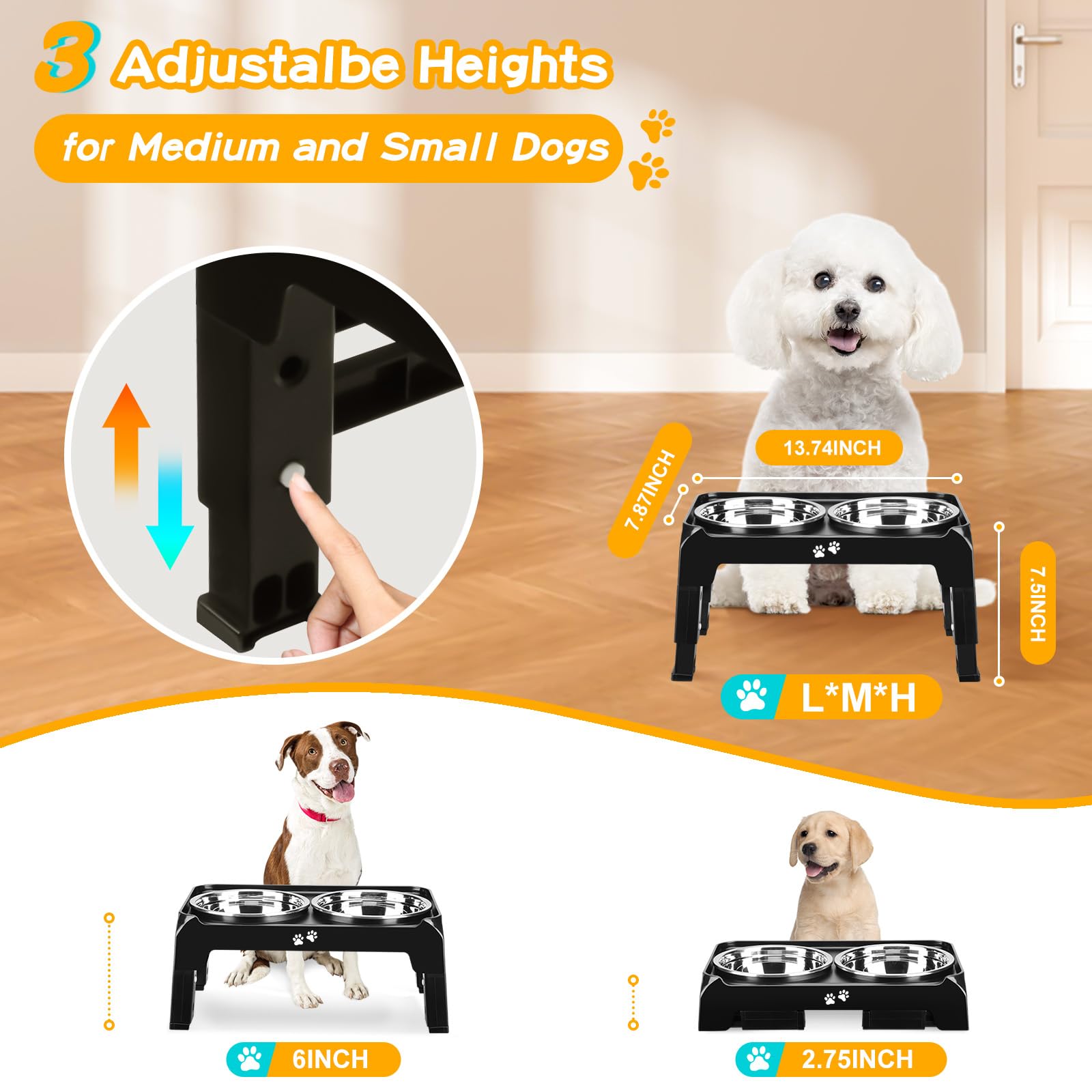 COMESOON bol surleve 6 pouces pour chien — confort et alignement du cou