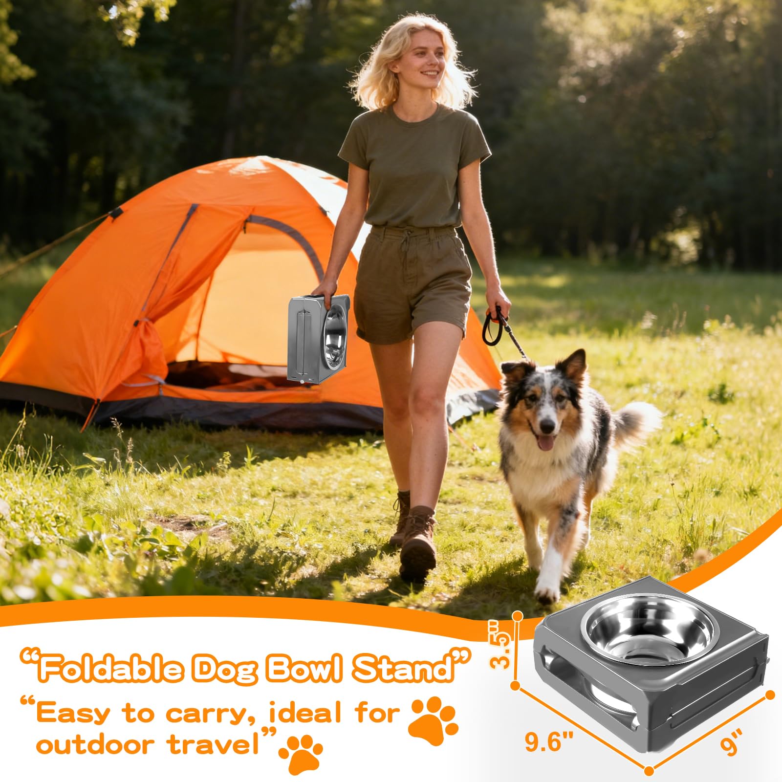 COMESOON utilisation quotidienne pour chiens de toutes tailles.