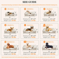 Mousse forme œufs Comfort Expression, soutien articulaire pour chiens.