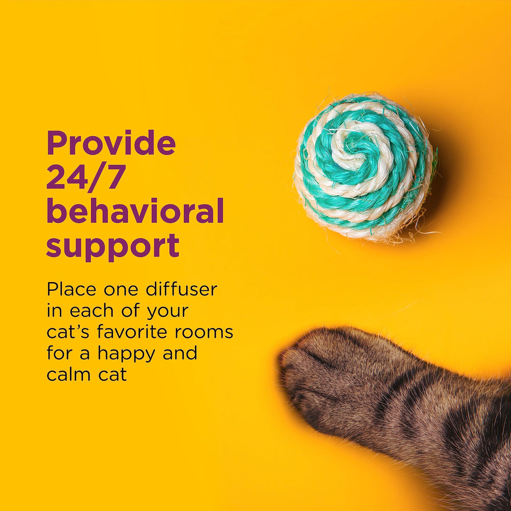 Amélioration potentielle du comportement du chat grâce au diffuseur Comfort Zone.