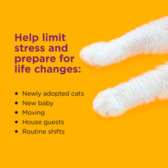 Pack Comfort Zone; diffuseurs pour chats, kit valeur pour plusieurs pièces.
