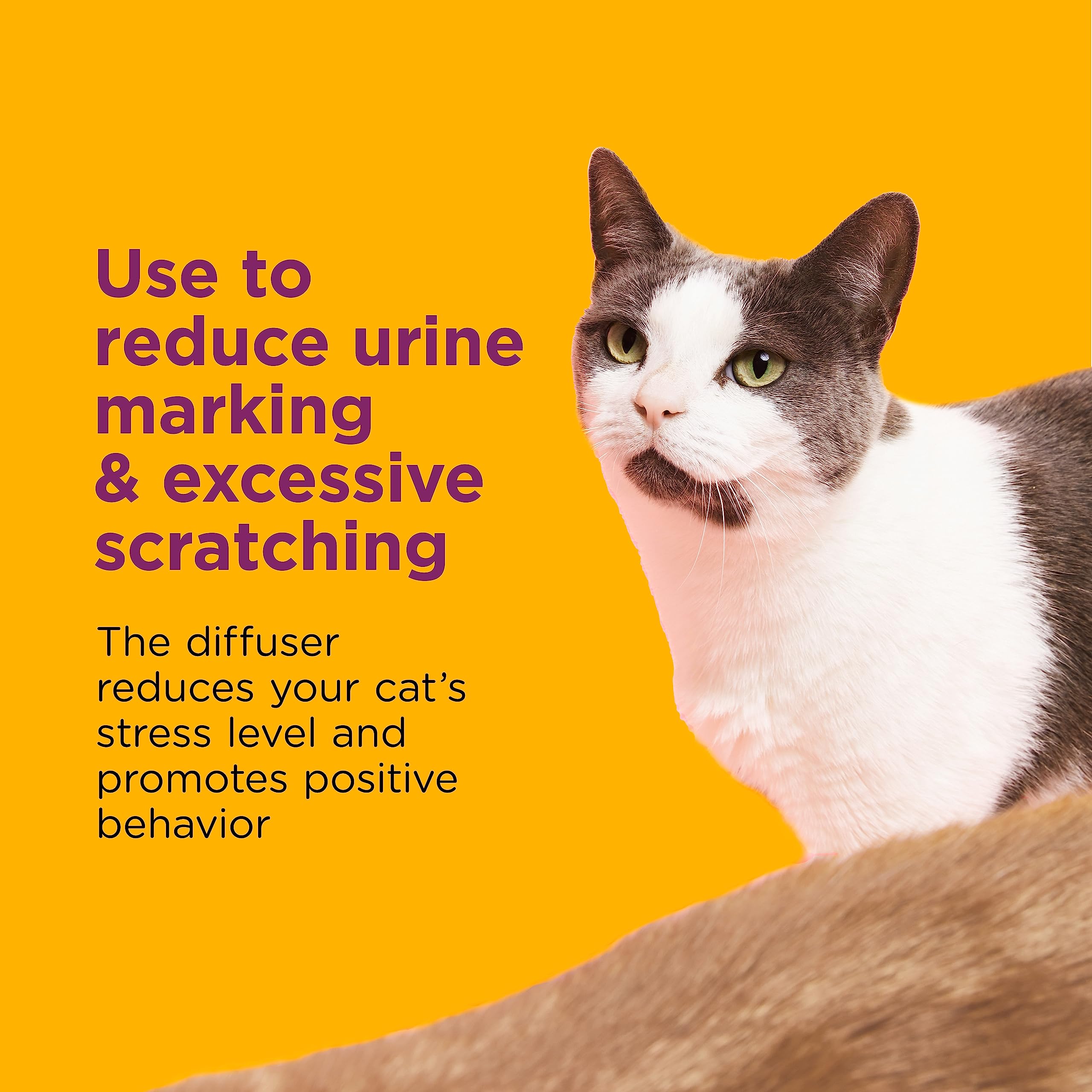 Phéromones pour chats Comfort Zone calment et favorisent des interactions plus douces.