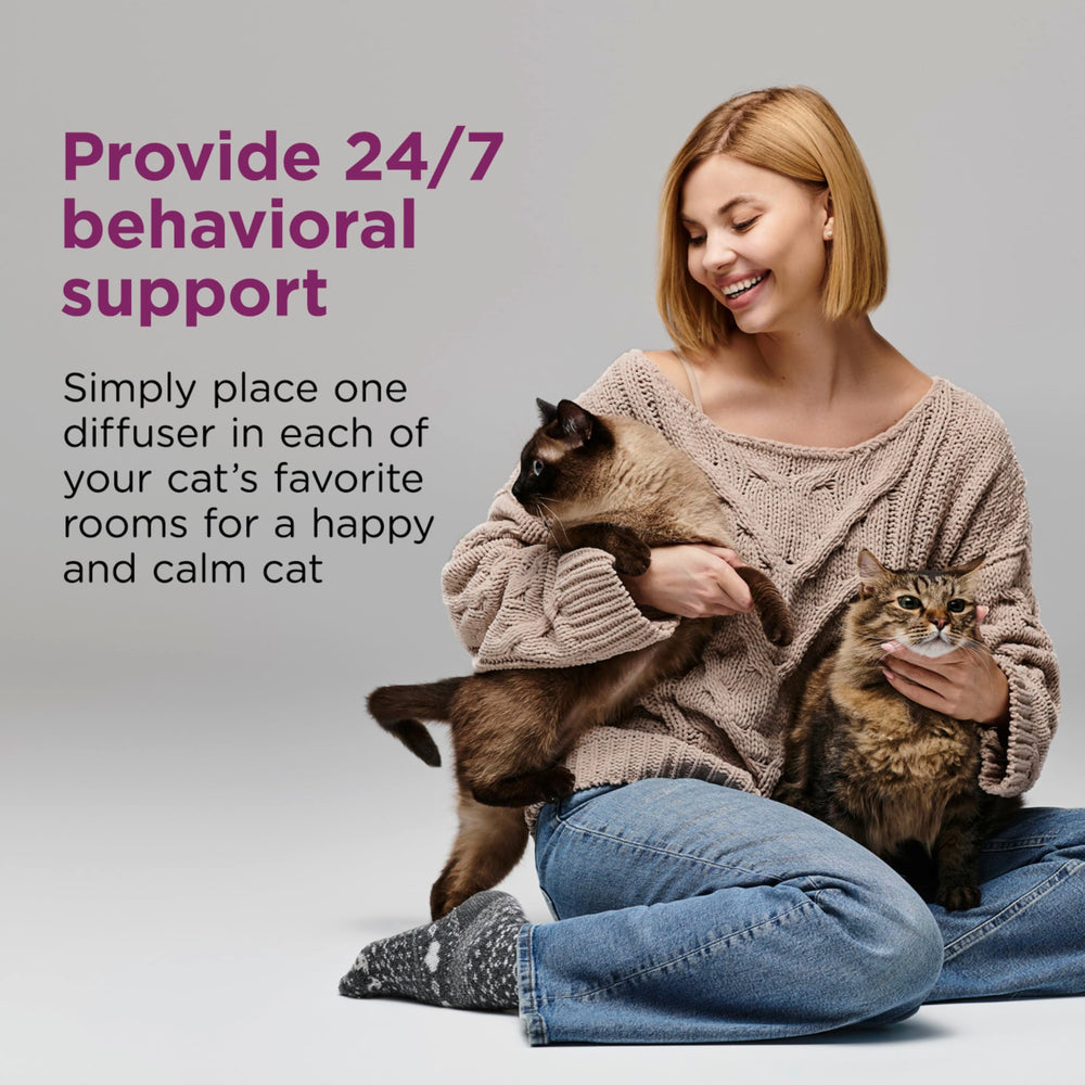 Conformité aux normes UL et Intertek pour Comfort Zone