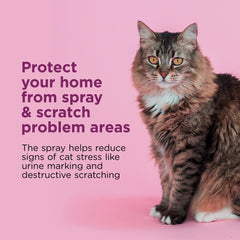 Spray Comfort Zone protégeant le mobilier et réduisant les griffages du chat.