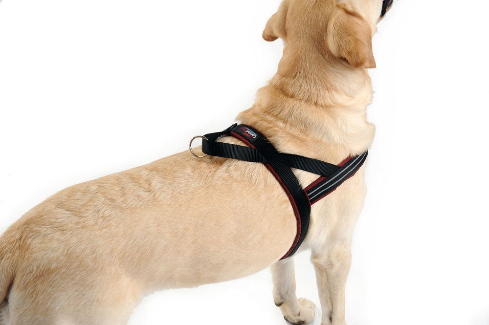 Harnais ComfortFlex ajustable pour un ajustement personnalisé et rapide.