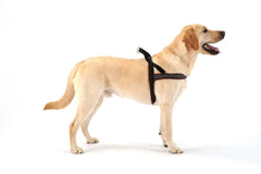 Harnais ComfortFlex enfliage facile pour ajustement rapide et pratique.