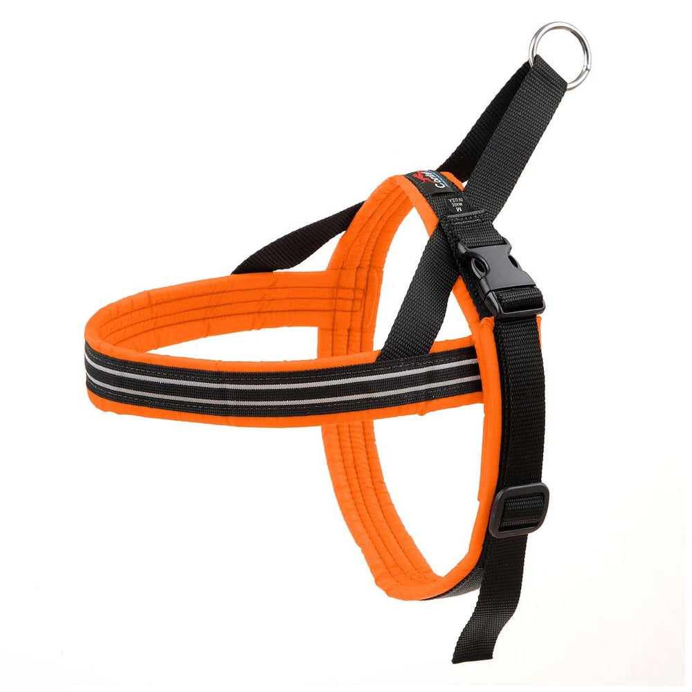 Harnais ComfortFlex Sport en vue générale, ajustement confortable pour chiens actifs.
