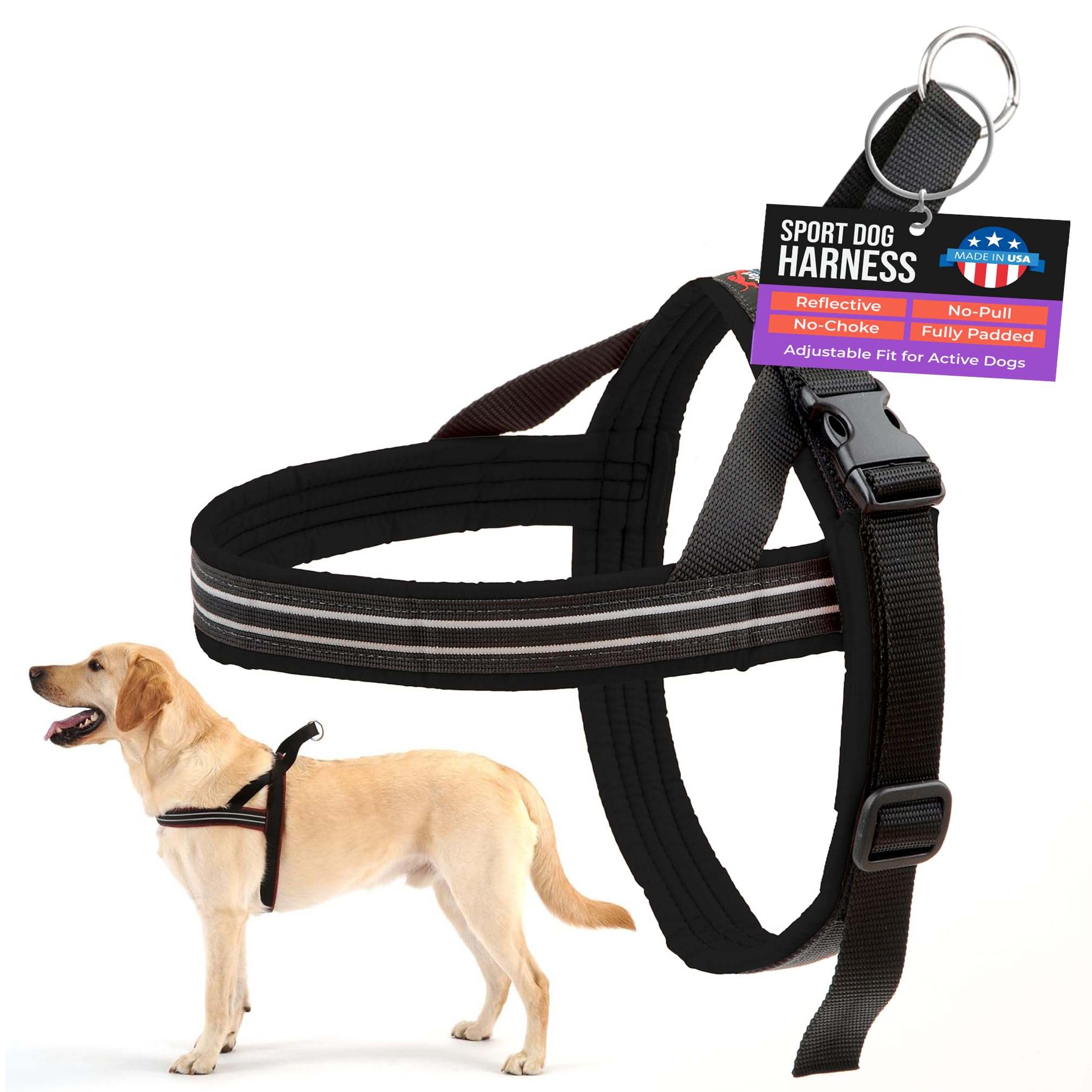 Harnais ComfortFlex Sport couleur noir Raven, élégant et discret.