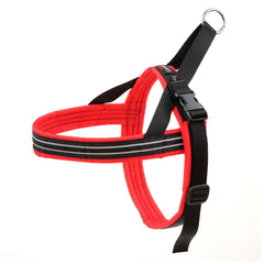 Harnais ComfortFlex Sport plan rapproché sur le rembourrage, pour chien actif.