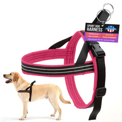 Harnais ComfortFlex Sport sans étranglement rembourré pour balades confortables.