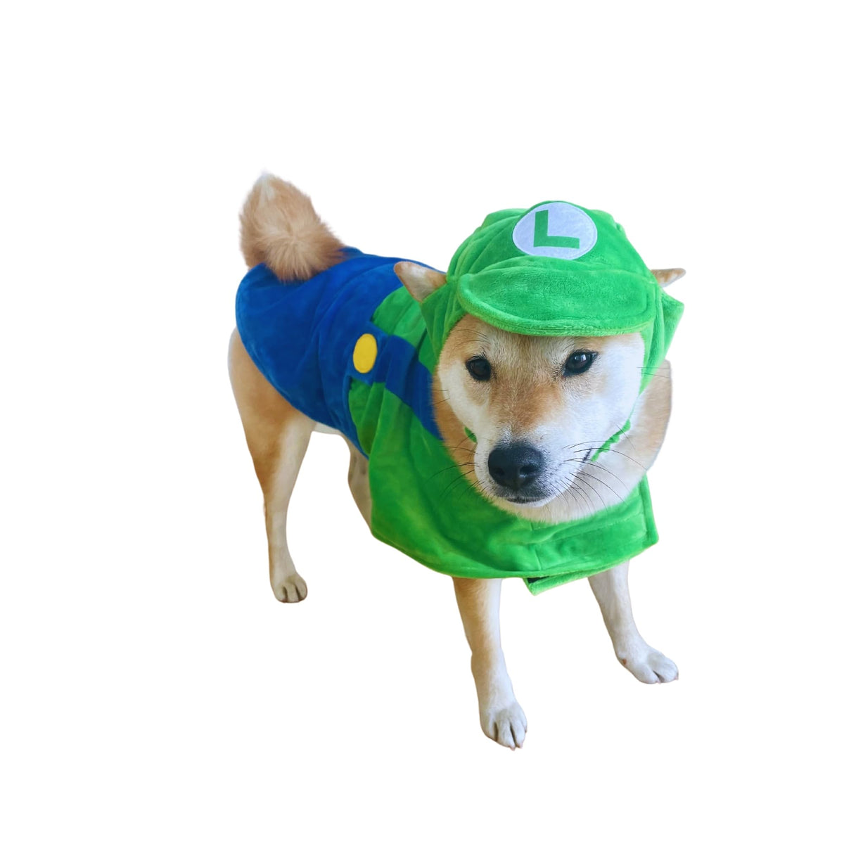Chapeau et cape ComfyCamper pour chien, style astronaute vert, idéal pour cosplay.