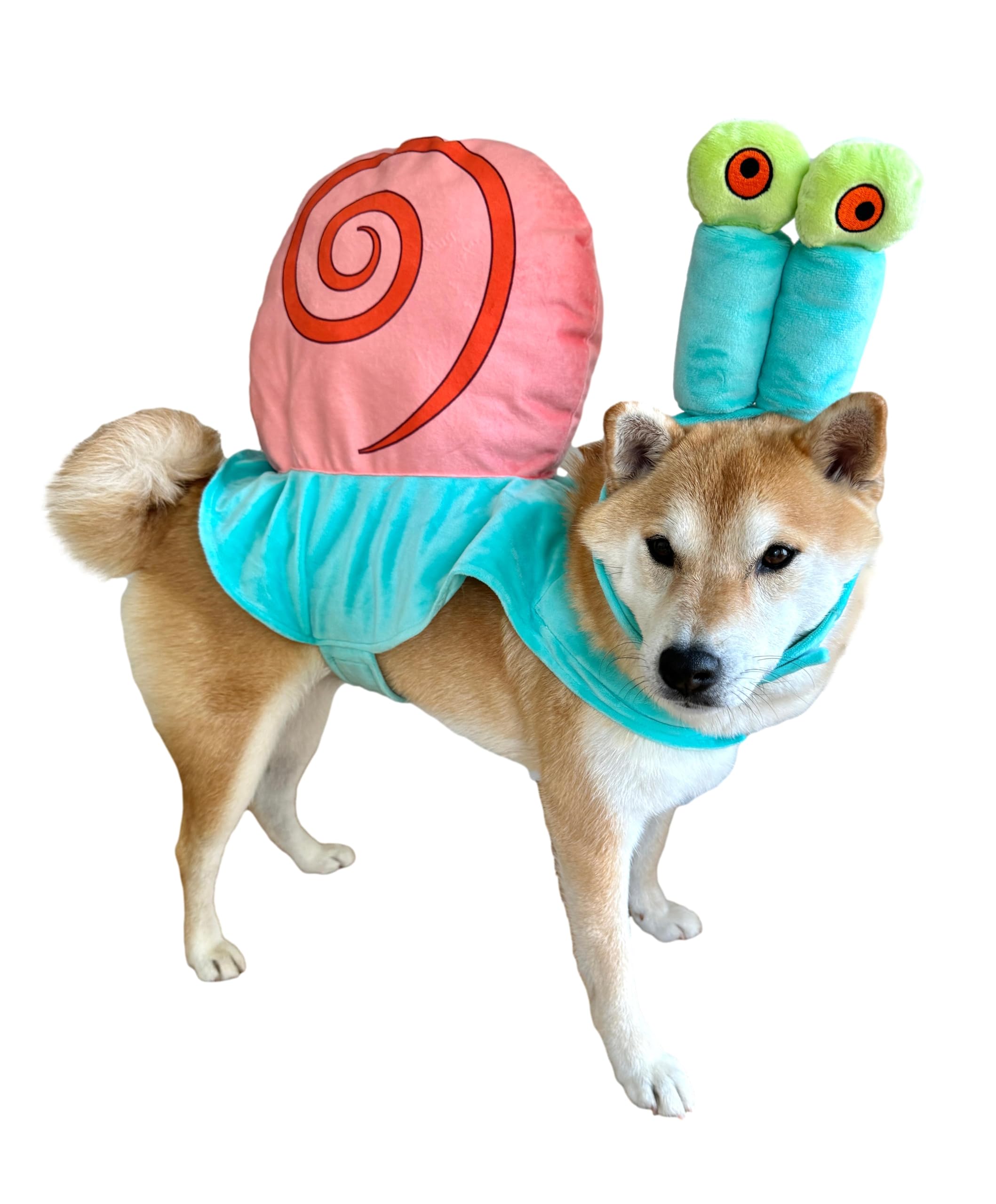 Costume de coquille de mer pour chien ComfyCamper, parfait pour Halloween et fêtes.