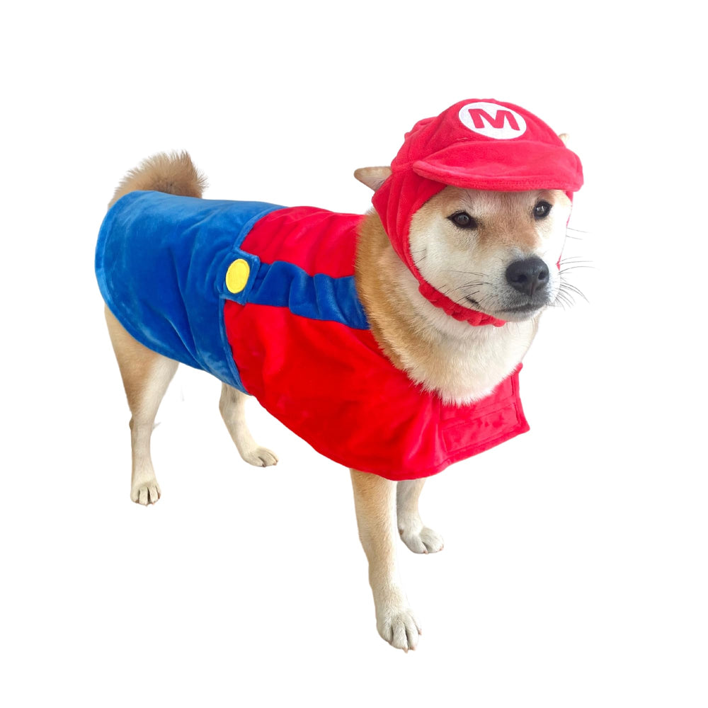 Chapeau rouge ComfyCamper et bretelles, costume chien labrador pour défilés et photos.
