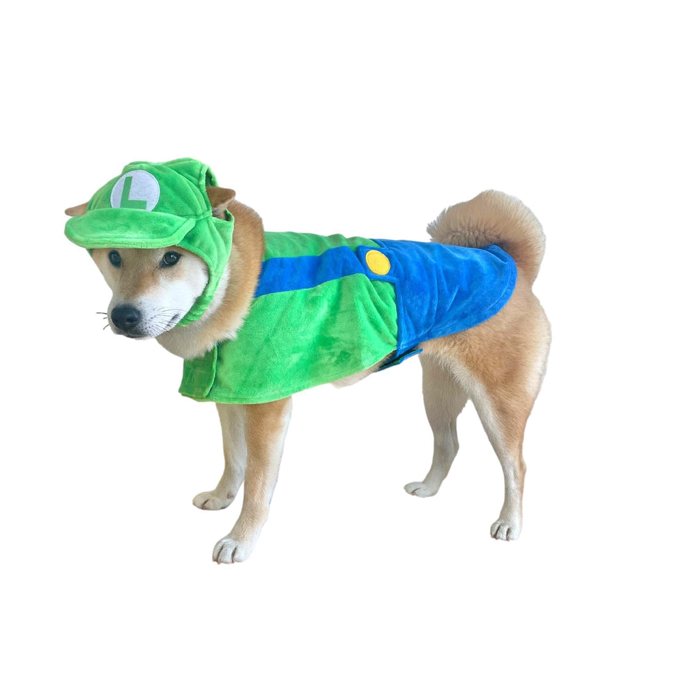 Costume ComfyCamper pour chien astronaute vert, prêt pour photos et fêtes.