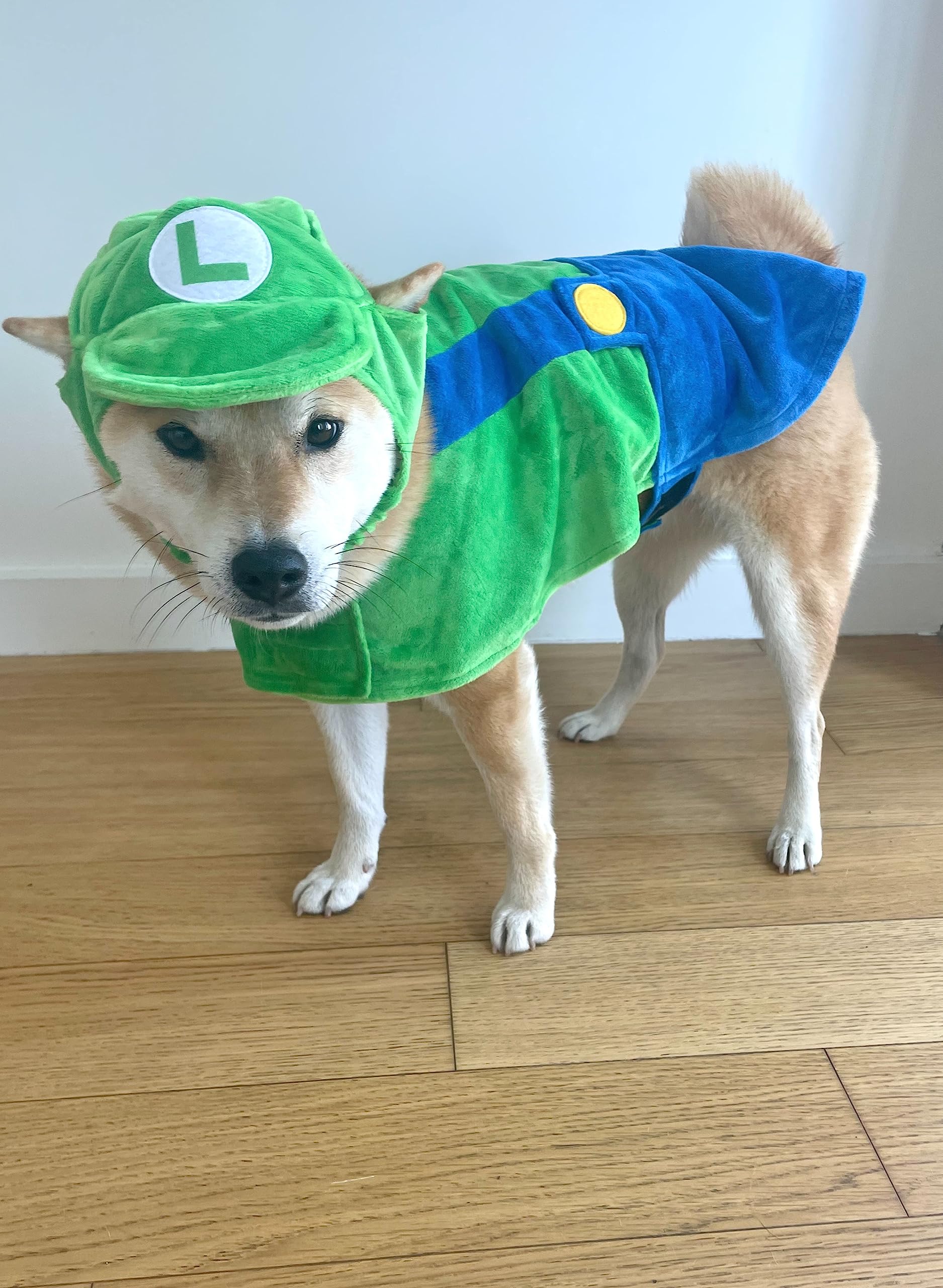 Costume chien ComfyCamper espace vert, inspirant les jeux imaginatifs et les parades.