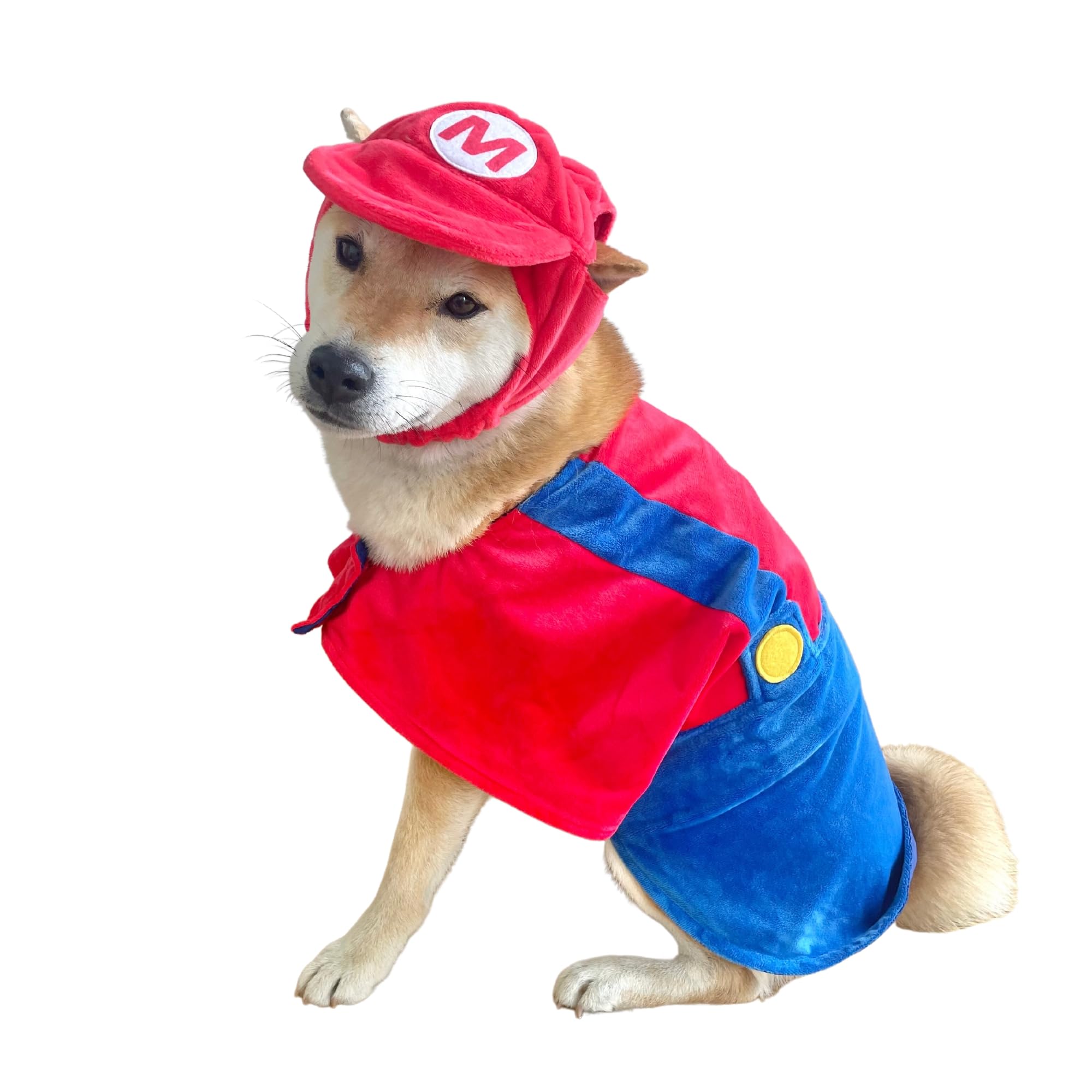 Costume ComfyCamper chien labrador, chapeau rouge et bretelles, idéal pour fêtes.