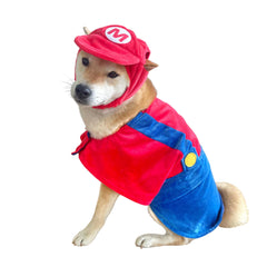 Costume ComfyCamper chien labrador, chapeau rouge et bretelles, idéal pour fêtes.