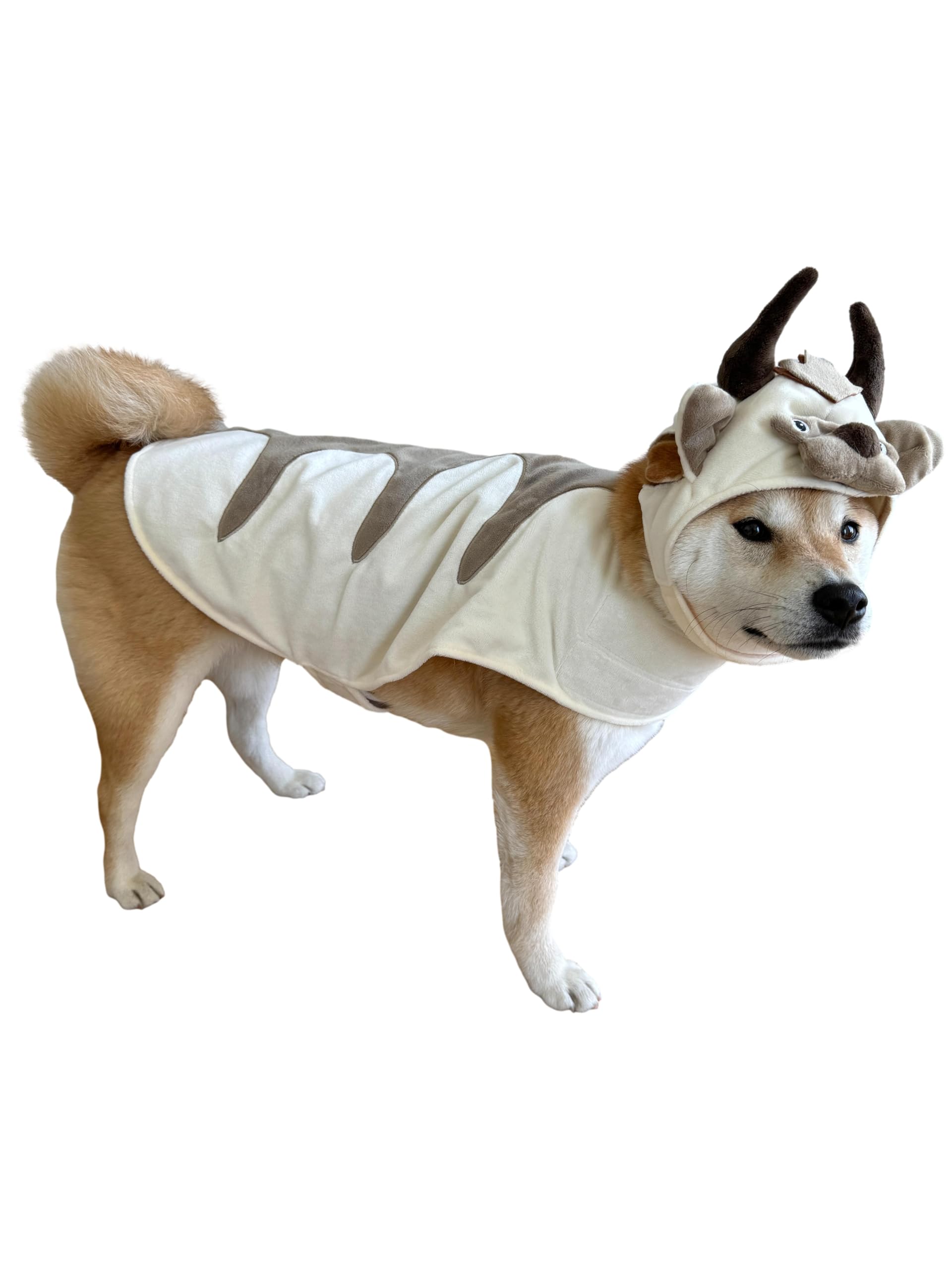 Cape du costume Oxen de ComfyCamper — cape viking pour chien, confort doux.