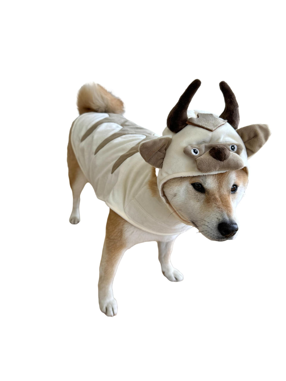 Détails du costume Oxen ComfyCamper — cornes et oreilles du chapeau.