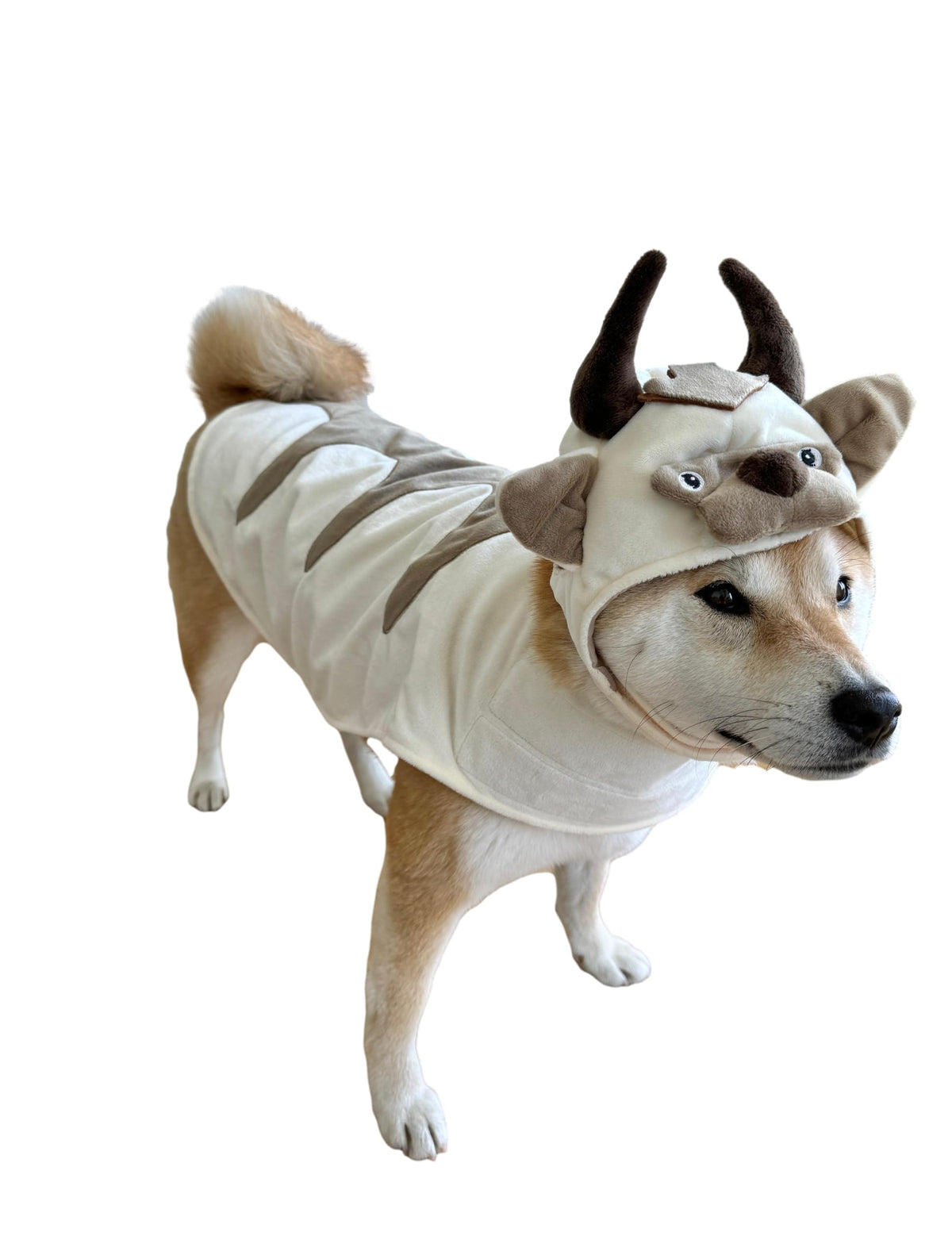 Costume Oxen ComfyCamper — tête viking pour chien, look unique.