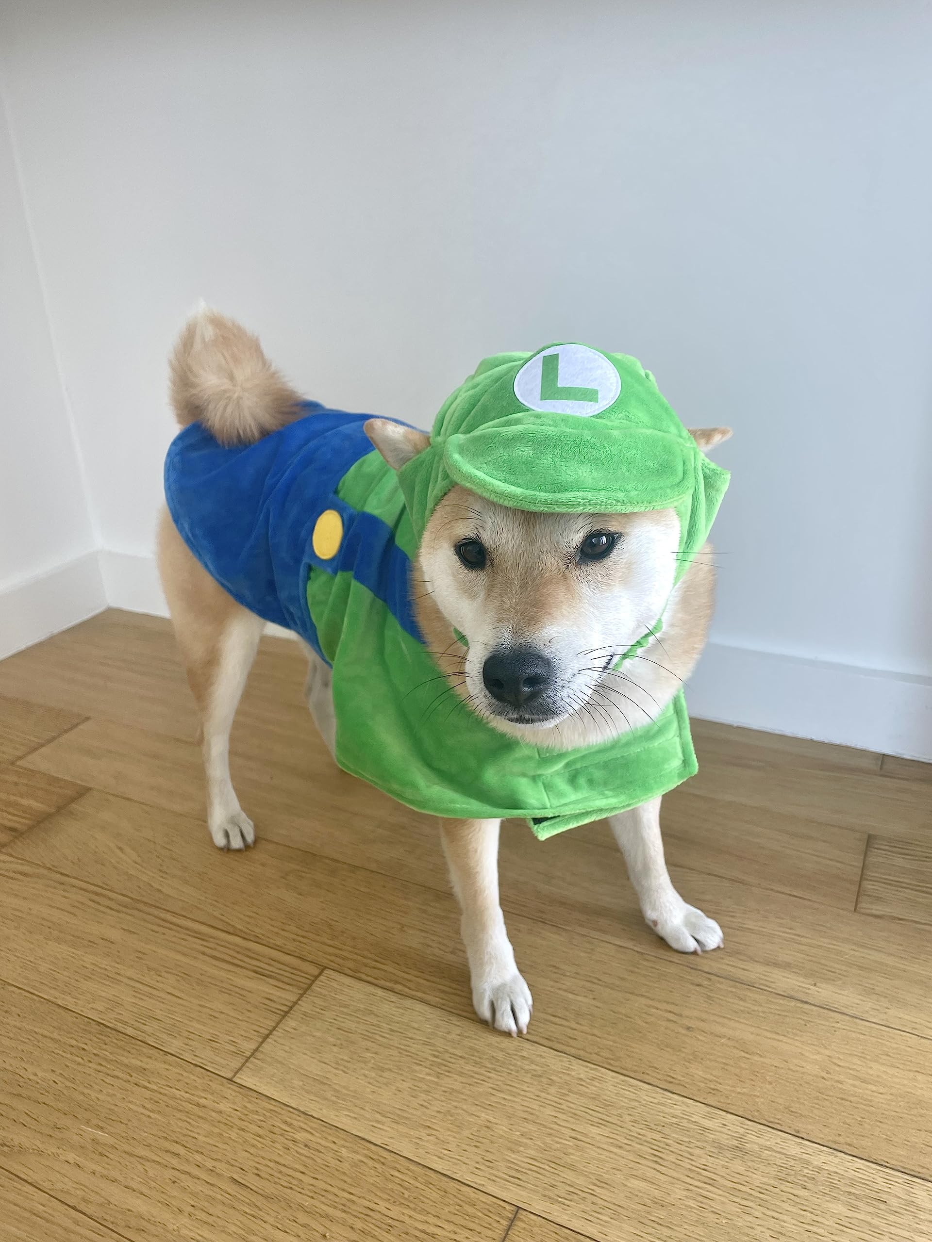 Habillage ComfyCamper pour chien astronaute vert, parfait pour balades festives.