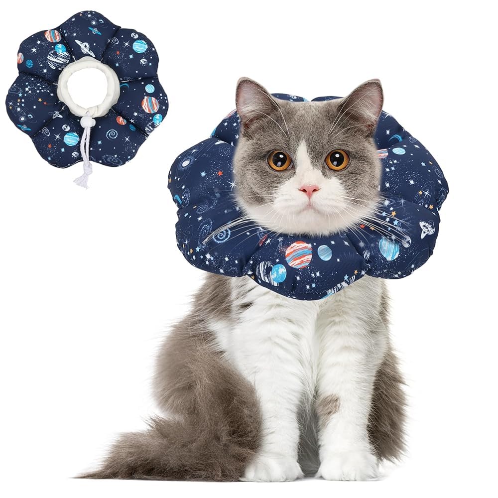 Collier-cone ComSaf doux pour chat, confort et récupération sans stress.