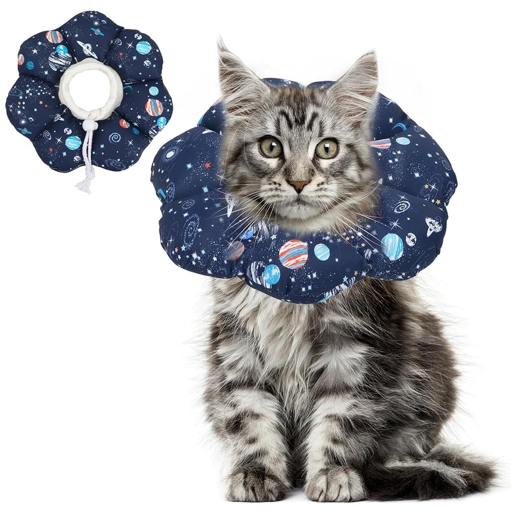 ComSaf collier conique doux pour chat, confort immédiat lors du port.