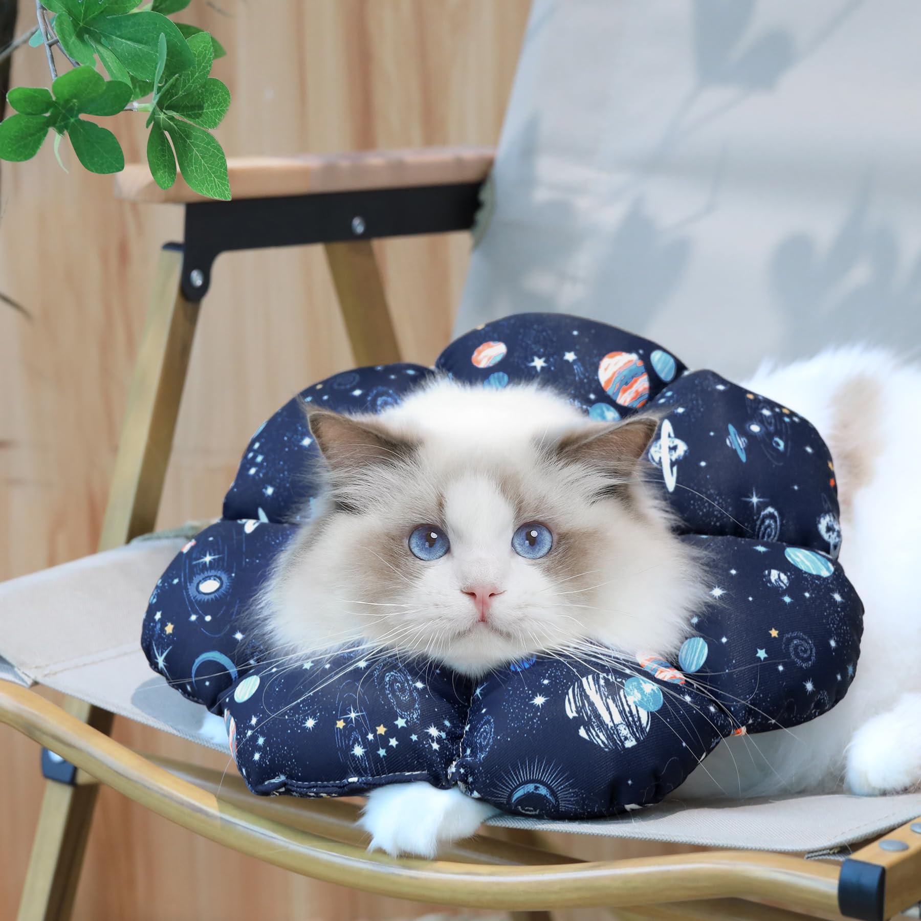 Collier ComSaf pour chat, vision libre lors des mouvements.
