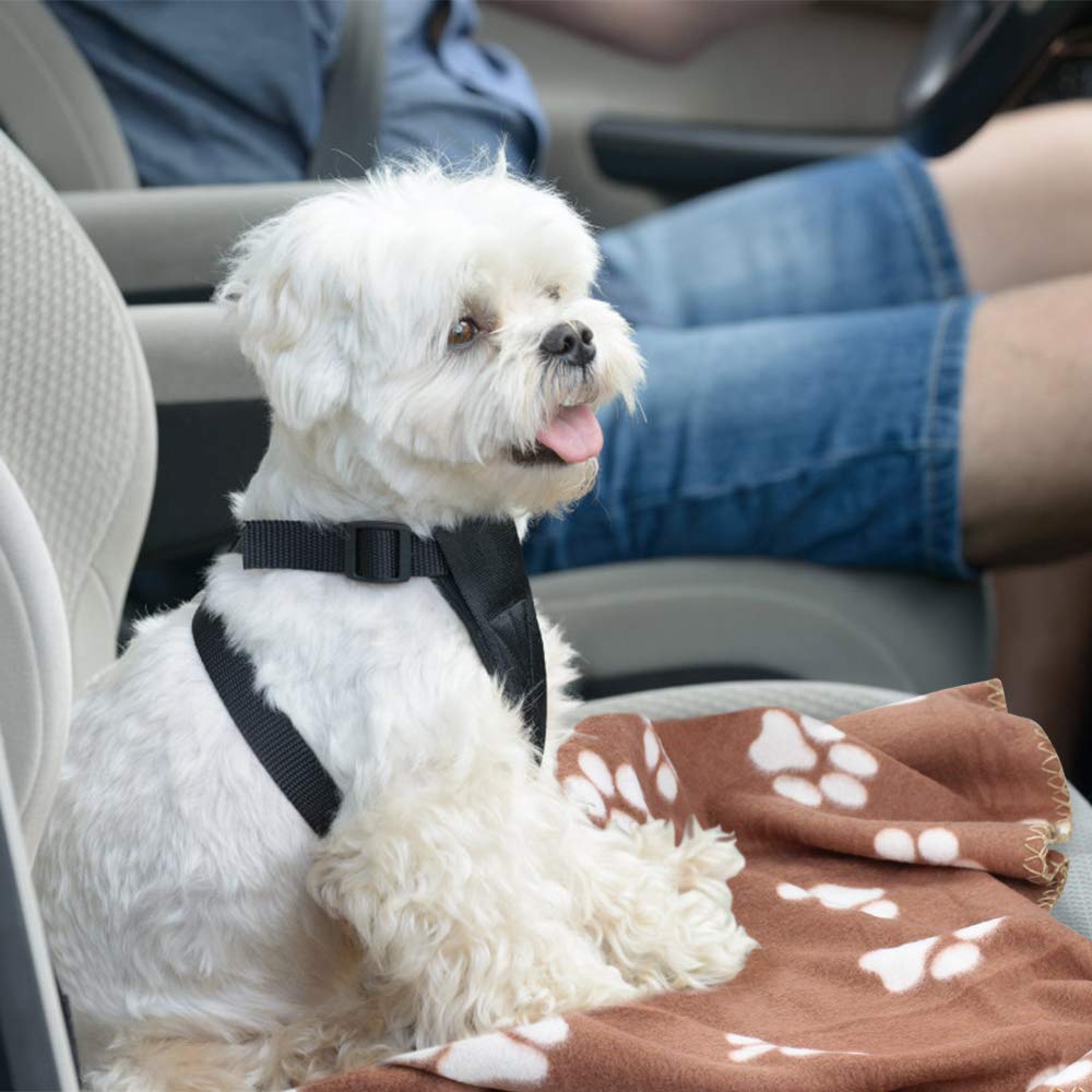Couverture Comsmart chien patte rouge, chaleur légère en promenade.