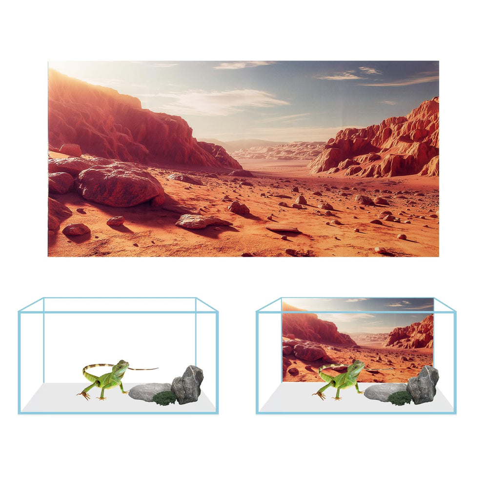 COMSUN fond terrarium fougere-arbre verte, profondeur visuelle accrue