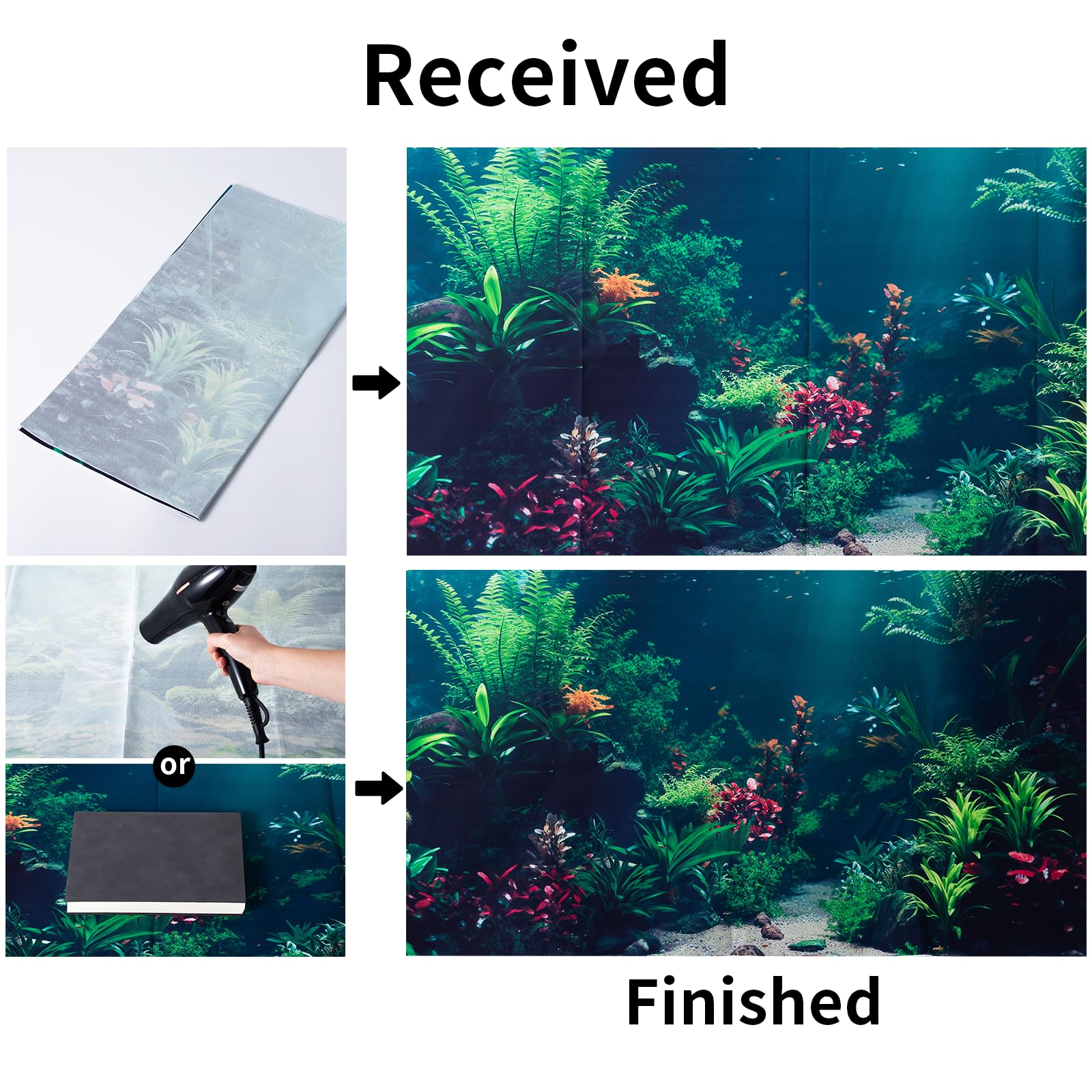 COMSUN arriere-plan aquarium eclat couleur, rendu vivant et vibrant