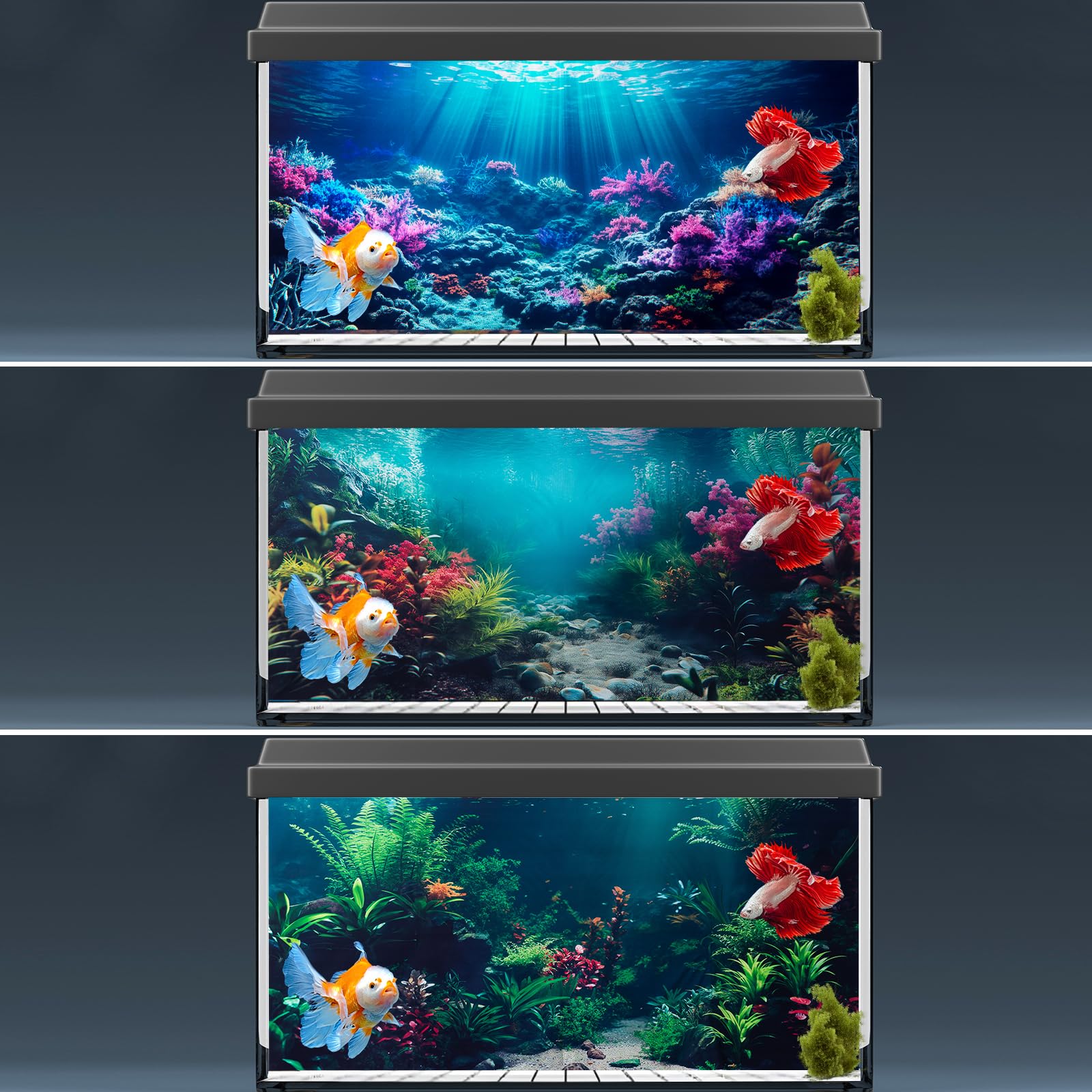 COMSUN arriere-plan aquarium sans bulles, installation propre et claire
