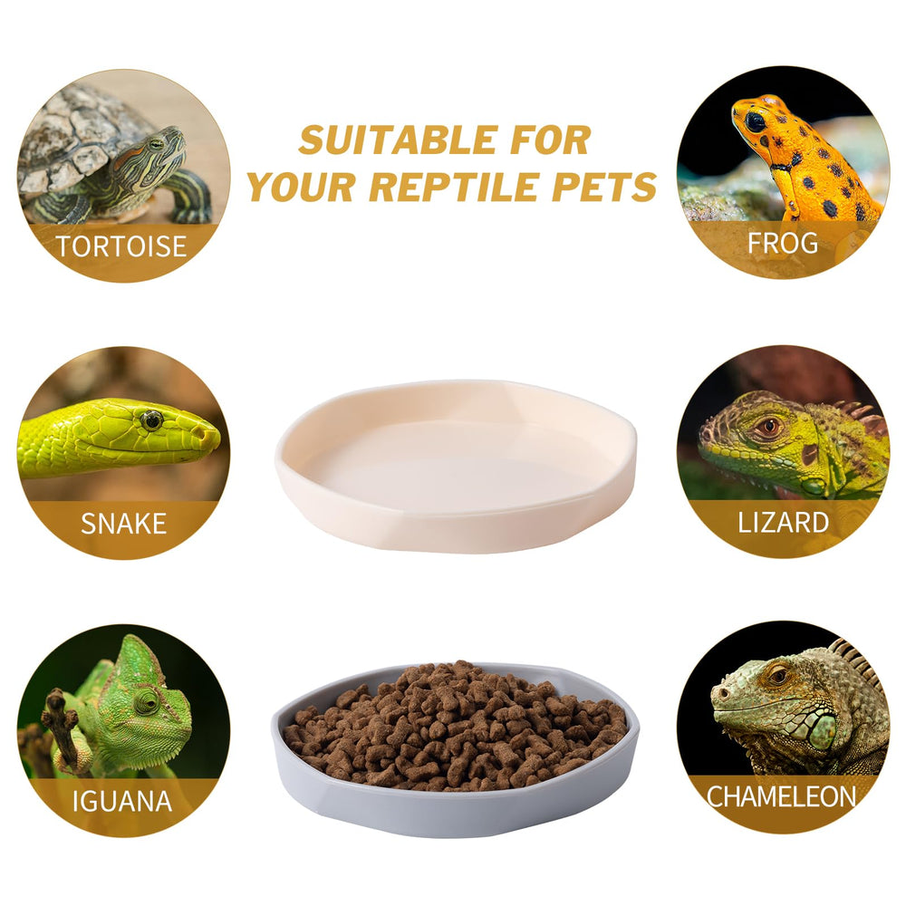 Assiette COMSUN adaptée pour nourrir et abreuver diverses espèces de reptiles.