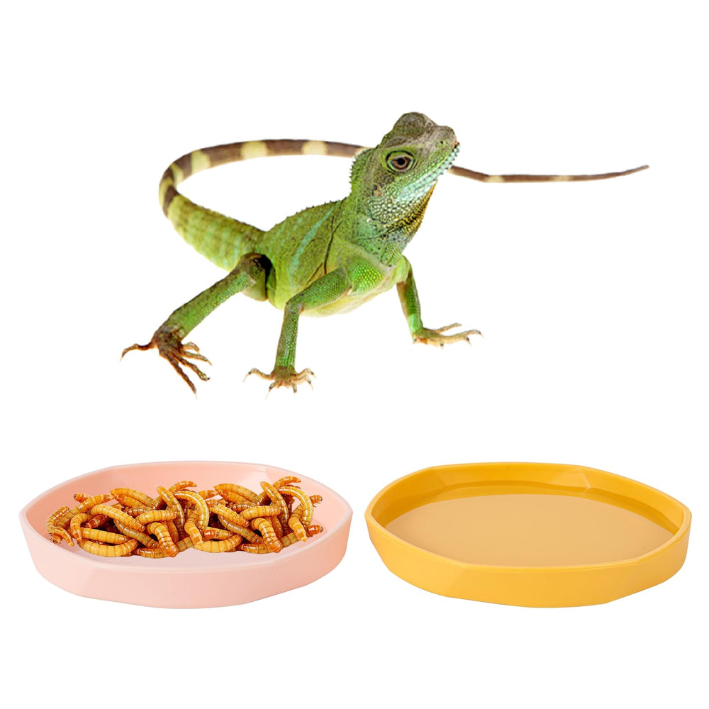 Bol plastique réptile COMSUN bleu-jaune, durable et léger pour alimentation.